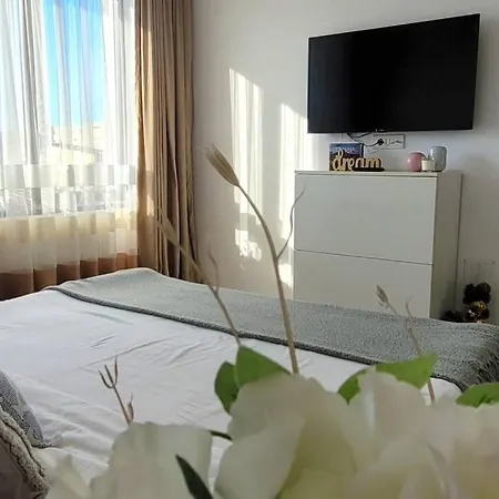 Explore From A Bright And Stylish Apt.